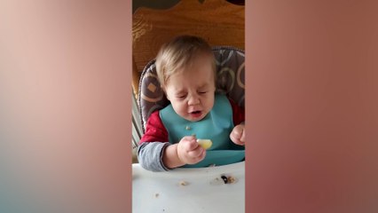 Adorable Baby Reactions
