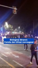 Bologna vs Brann: l'entusiasmante supporto dei tifosi norvegesi 🇳🇴