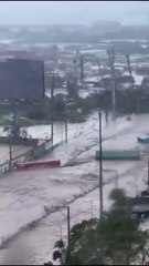 Massive Flood in Mandaue City: Vehicles & Shipping Containers Swept Away by Typhoon Kalmaegi (Tino)