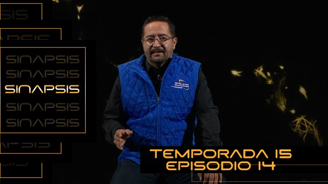 T15 Ep. 14 Sinapsis | ¿Hongos silvestres contra cultivables?