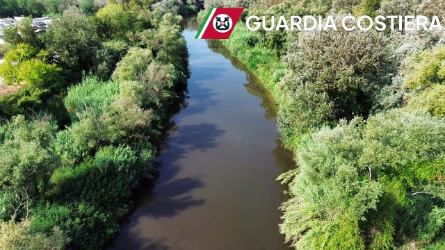 Image from field_mediaid