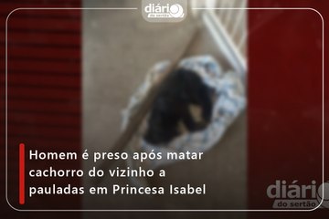 Homem é preso após matar cachorro do vizinho a pauladas em Princesa Isabel