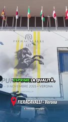 Lollobrigida - Fieracavalli cresce ogni anno (06.11.25)