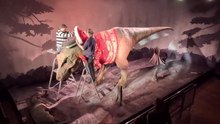 Natural History Museum creates giant Christmas jumper for its iconic T. Rex