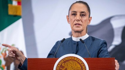 La presidenta Claudia Sheinbaum: entre el acoso y la negligencia