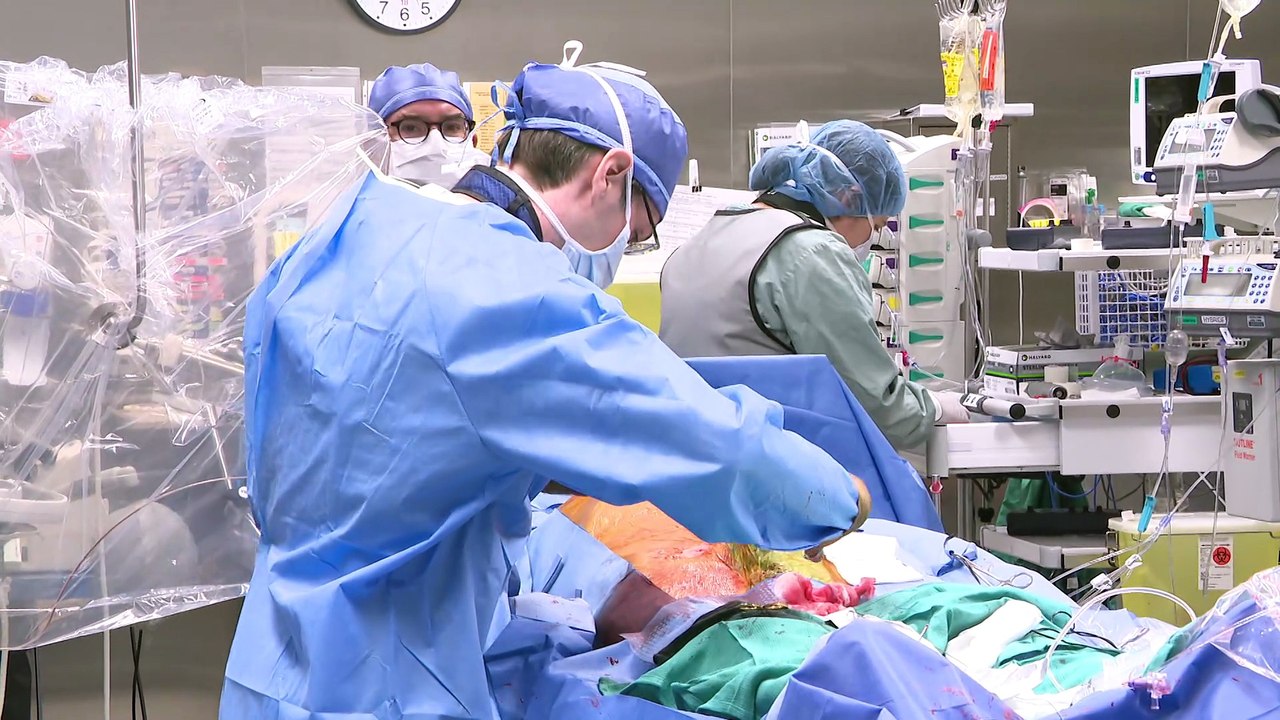 Disparition de Transplant Québec : garder l'humain au cœur du don d'organes 