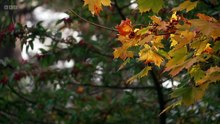 Landward episode 21 2025