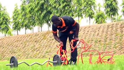 Autour de l'aire de jeu - A l'aube d'un nouveau cycle