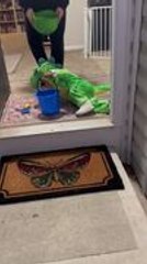 Adorable Kid Trips Twice While Entering House for Trick-Or-Treat