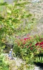 Get Into Bed With My Husband's Best Friend Full Movies Engsub