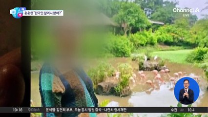 [앉아서 세계 속으로]“한국 할머니 봤어?”…베트남에 퍼진 ‘SOS’