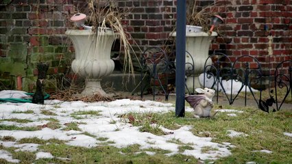 The Real Murders on Elm Street S02E06 -