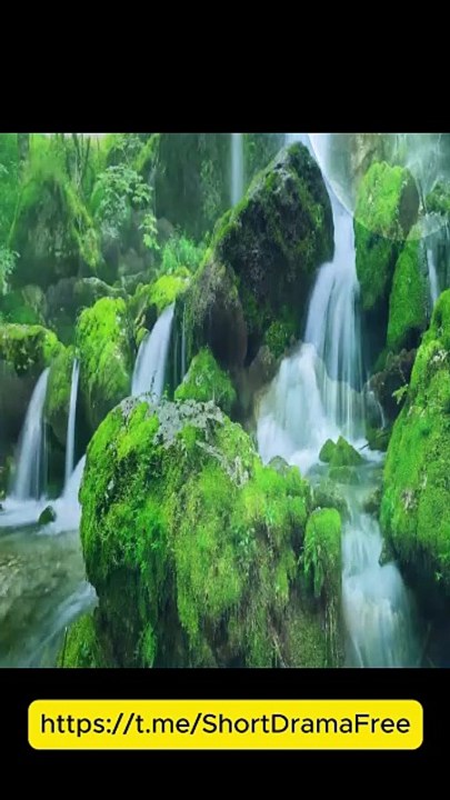 My Driver Is Actually The CEO EngSub #litetv