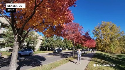 Where is the cold and snow?