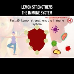 Lemon strengthens the immune system