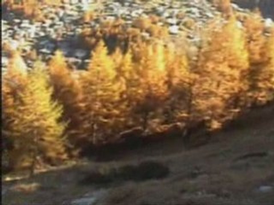 Wandern mit www.allapinesports.com und www.at-zermatt.ch