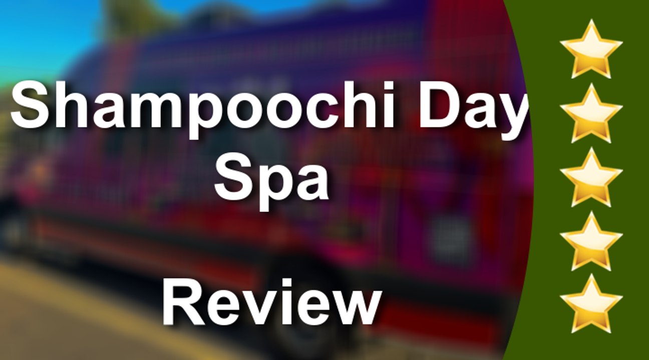 Shampoochi Day Spa Port St. Lucie Remarkable Five Star Review by Jessica Rebollo