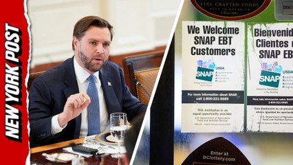 Vance slams 'absurd' judge ruling on SNAP funds amid shutdown