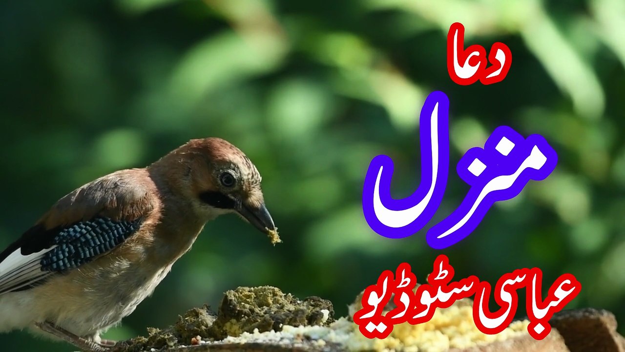 Dua Ma nzil Full | دعائے منزل مکمل | Powerful Quranic Dua for Protection from Jinn, Magic & Evil Eye | Abbasi Studio