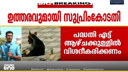 തെരുവുനായ ആക്രമണം; സുപ്രധാന നിർദേശങ്ങളുമായി സുപ്രിംകോടതി