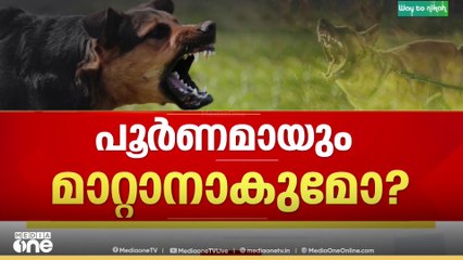 പൊതുയിടങ്ങളിൽ നിന്നും നായ്ക്കളെ നീക്കണം: തെരുവുനായ പ്രശ്നത്തിൽ സുപ്രധാന ഉത്തരവുമായി സുപ്രീം കോടതി