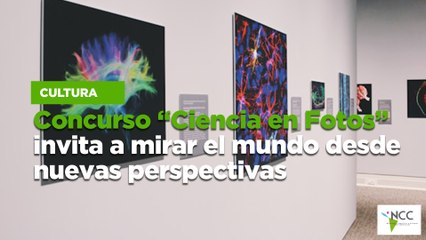 Concurso “Ciencia en Fotos” invita a mirar el mundo desde nuevas perspectivas