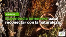 Experiencia inmersiva para reconectar con la naturaleza