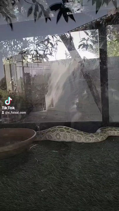 wild Life park and zoo in dubai umm ul Quwain and dangerous snakes