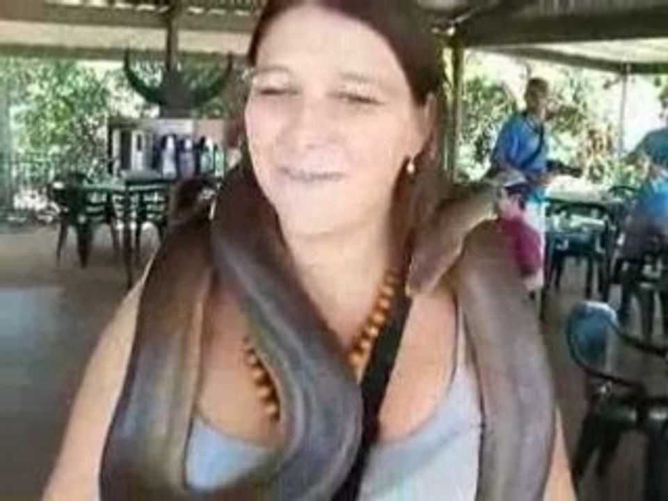 diane - eva et le python olive