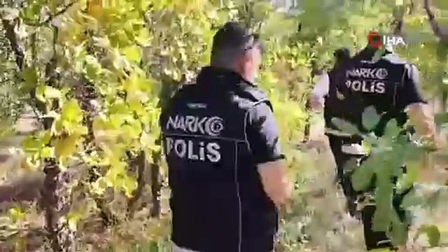 Tunceli merkezli 3 ilde uyuşturucu operasyonu: 23 kilo esrar ele geçirildi