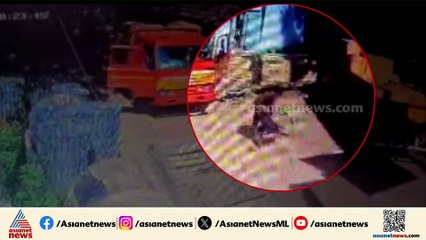 മാവേലിക്കര കെഎസ്ഇബി ഓഫീസിൽ തെരുവുനായ ആക്രമണം; രണ്ട് പേർക്ക് പരിക്ക്