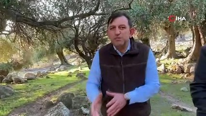 Dünyada sayılı, Türkiye’de tek: Gökçeada’daki gizli zenginlik