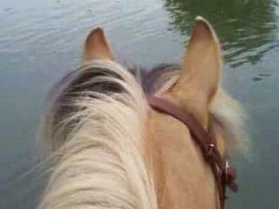 Pilou eau moulin bernay