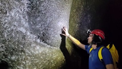 Dünyanın en büyük örümcek ağı keşfedildi: 111 bin böcek aynı yerde yaşıyor! Görüntüler ağızları açık bıraktı