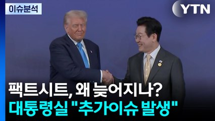 [이슈ON] "팩트시트 발표 시점 특정 어려워"...왜 늦어지나? / YTN