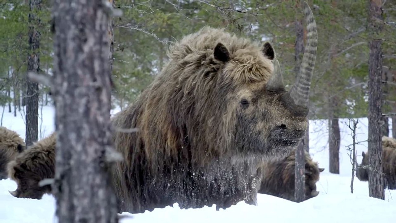 Ein Planet vor unserer Zeit - staffel 3 Trailer OV