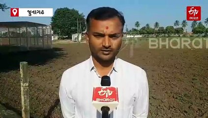 ઘઉંની વહેલી વાવણીનો સમયગાળો થયો પૂર્ણ, સમયસર અને પાછતરી વાવણી કરતા ખેડૂતો માટે મહત્વની સૂચના