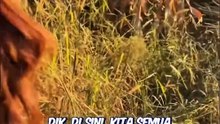 Niatnya bantu wanita ini, tapi pacar nya mengancam #shorts #feed #dramachina #douyin