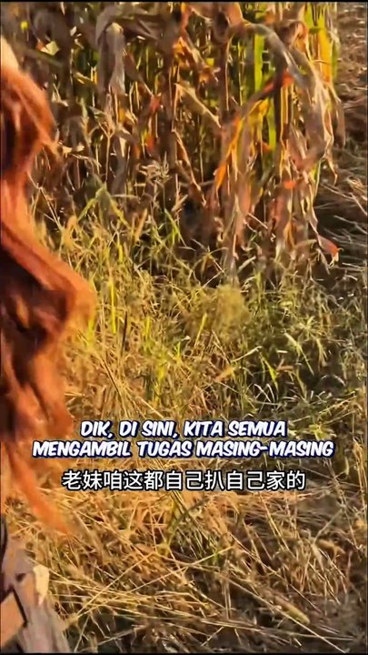 Niatnya bantu wanita ini, tapi pacar nya mengancam #shorts #feed #dramachina #douyin