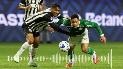 Vitória do Palmeiras sobre o Santos no Brasileirão