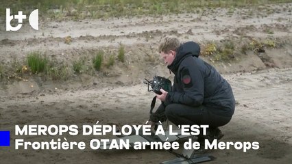 Système Merops contre la Russie / Pologne et Roumanie se blindent, protection anti-drones