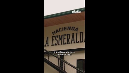 À 1000 dollars la tasse, c'est le café le plus cher du monde