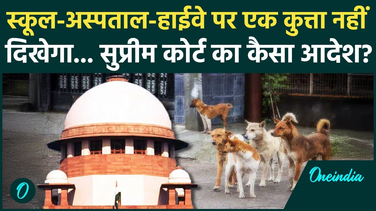 Supreme Court On Stray Dogs: आवारा कुत्तों पर सुप्रीम आदेश, तीन हफ्ते का टाइम... | Stray Dog Verdict