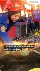 Buaya Raksasa Inhil Sepanjang 5,7 Meter Dievakuasi ke Tembilahan