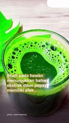 6 Khasiat Daun Pepaya yang Jarang Diketahui, Ternyata Luar Biasa