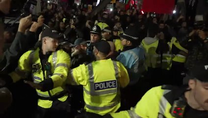 Pro-Palestine protestors scuffle with police at Villa Park
