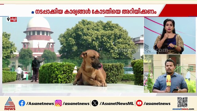 'പൊതു ഇടങ്ങളിൽ നിന്ന് തെരുവുനായകളെ നീക്കണം'; ഉത്തരവുമായി സുപ്രീംകോടതി