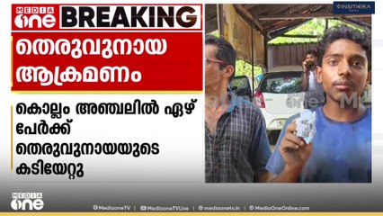 കൊല്ലം അഞ്ചലിൽ 7 പേർക്ക് തെരുവുനായുടെ കടിയേറ്റു