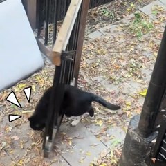 เอ๊ะ..ทุกทีก็ลอดได้ แต่คราวทำไมไม่ได้แล้วล่ะ