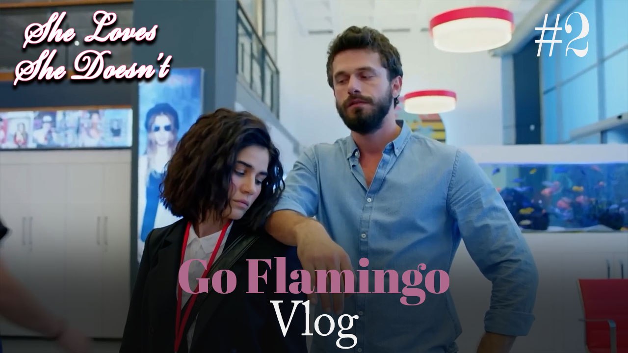 Go Flamingo Vlog #2
